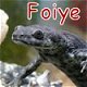 Pogonas : nueva adquisicion - last post by Foiye