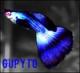 cuantos guppys en 30 lts - last post by gupyto