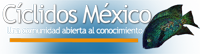 Cíclidos México